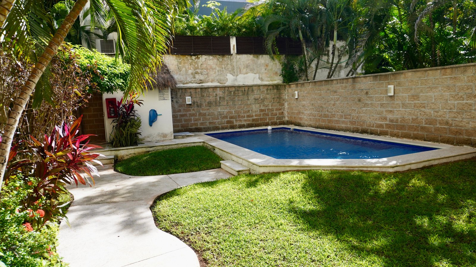 Departamento en venta en centro cancún - alberca rectangular en patio trasero rodeado de un jardín tropical y un muro de piedra