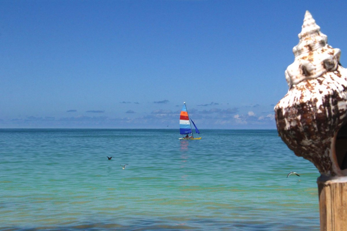 Terreno en venta en isla holbox - vista hacia el mar y en el fondo un velero