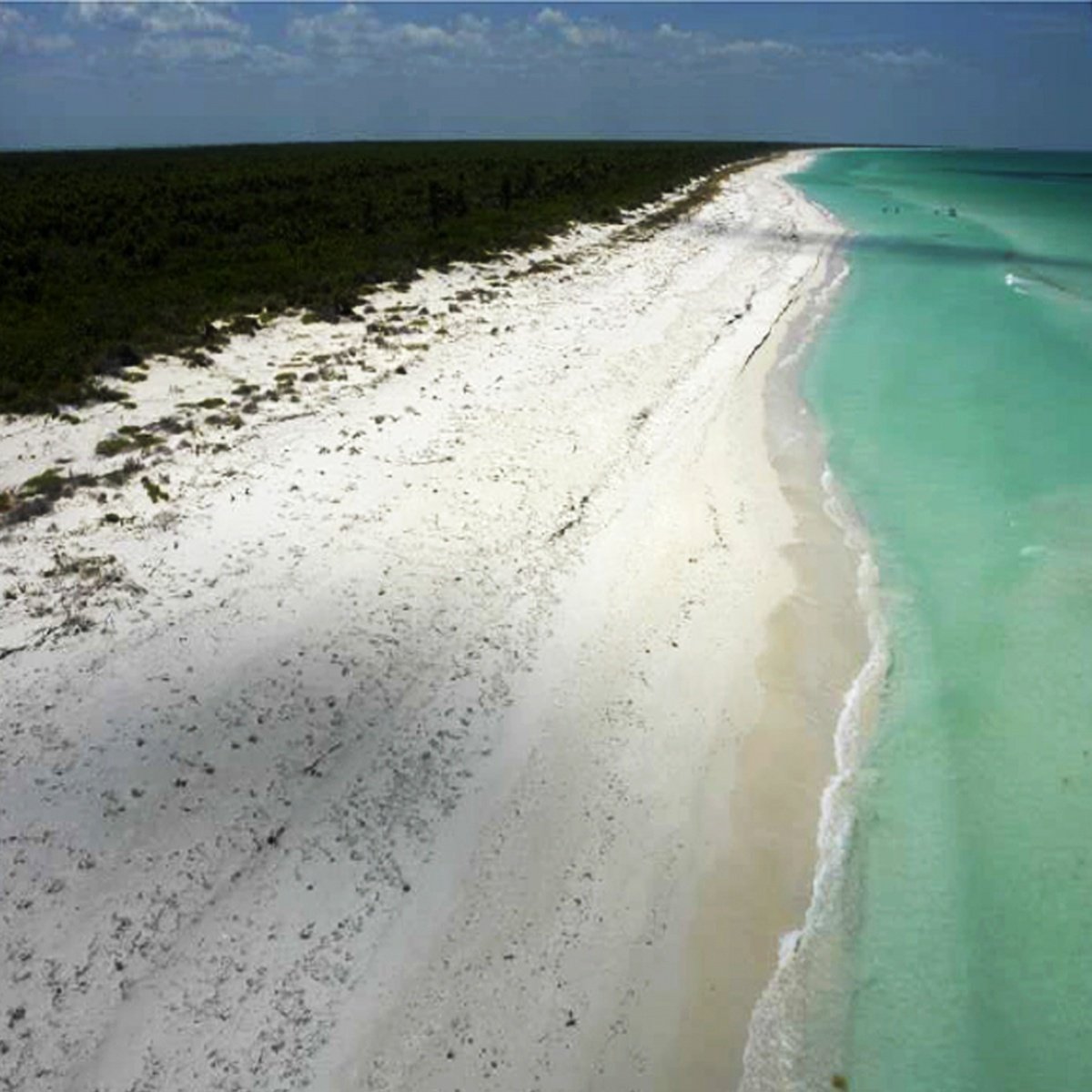 Terreno en venta en isla holbox - Playa con arena blanca, mar turquesa y vegetación costera al fondo