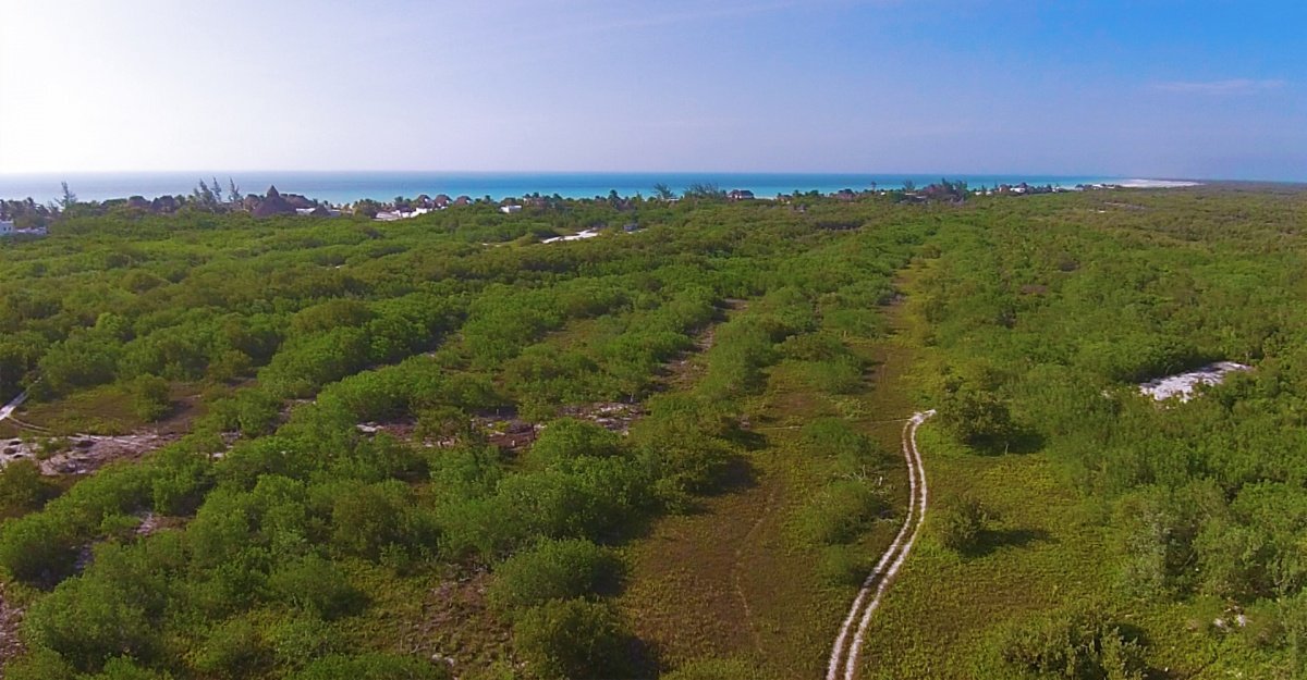 Terreno en venta en isla holbox - vista aérea hacia manglar y el mar en el fondo